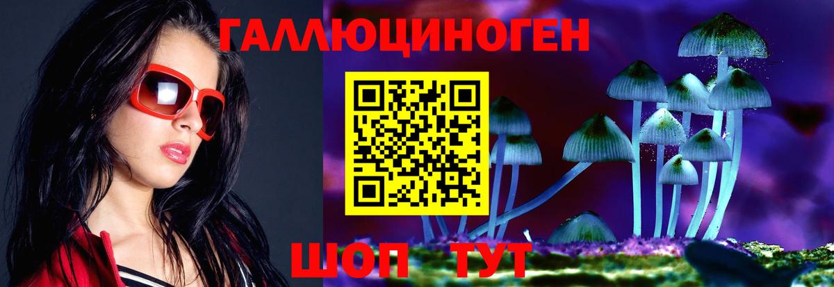 Галлюциногенные грибы прущие грибы Буйнакск